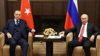 Ердоган та Путін обговорять кроки щодо припинення вогню в Україні