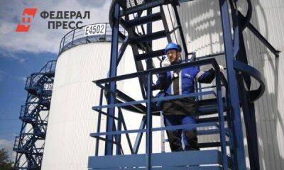 Эксперт о вызовах, с которыми столкнется экономика России: «Перестанем торговать нефтью»