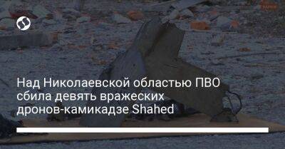 Над Николаевской областью ПВО сбила девять вражеских дронов-камикадзе Shahed