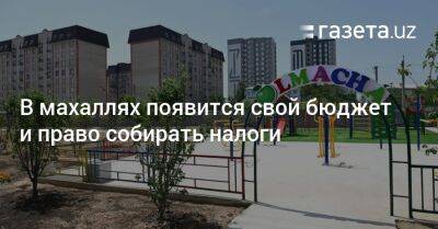 В махаллях появится свой бюджет и право собирать налоги