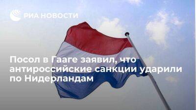 Посол Шульгин: антироссийские санкции ударили по Нидерландам, спровоцировав инфляцию