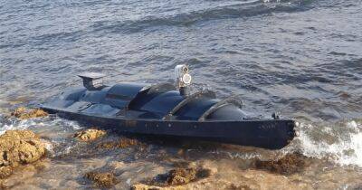 Сделан из деталей гидроцикла: появились детали о водном дроне у берегов Севастополя (фото)