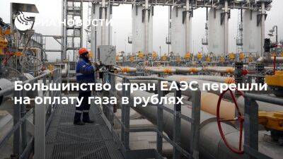 Министр по энергетике ЕЭК Кожошев: большинство стран ЕАЭС перешли на оплату газа в рублях