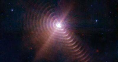 Телескоп Уэбба запечатлел танго редких звезд: в кадр попало прикосновение света к их пыльным юбкам