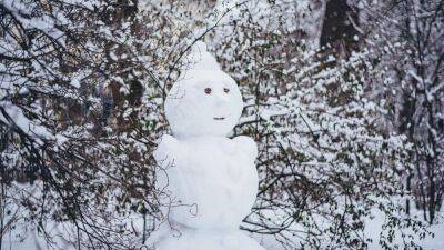 Еще до начала зимы: когда в Украину придут сильные морозы и снегопады