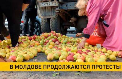 Фермеры Молдовы в знак протеста выгрузили более тонны яблок перед зданием Минсельхоза