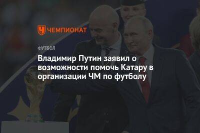 Владимир Путин заявил о возможности помочь Катару в организации ЧМ по футболу
