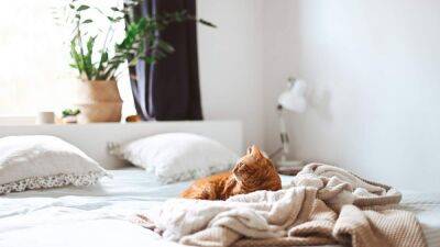 Пять вещей, которые лучше не делать на кровати