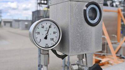 В ЕЭК заявили о переходе большинства стран ЕАЭС на оплату газа в рублях