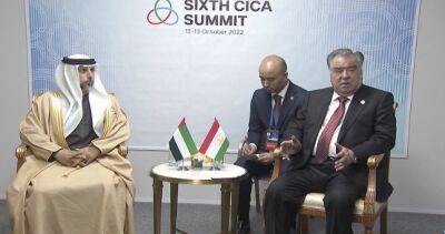 Глава государства Эмомали Рахмон провел встречу с Министром энергетики и подструктуры Объединенных Арабских Эмиратов Сухайлом Мазруи