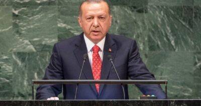 Роль Эрдогана во взаимоотношениях России и Украины оценили