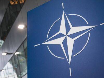 Половина членов НАТО запускает проект европейского "Небесного щита" - Spiegel