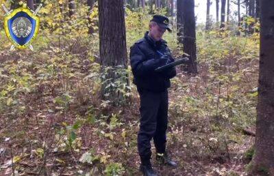 В лесу под Минском обнаружено два трупа мужчин – СК