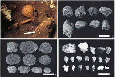 Найден 6000-летний череп, подтверждающий легенду о загадочном племени