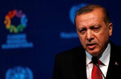 Эрдоган: перемирие на Украине — это цель Турции
