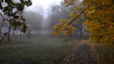 Холодина и туман: синоптики предупредили о неприятной погоде в пятницу 14 октября