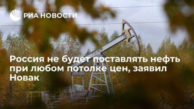 Новак: Россия не будет поставлять нефть странам, которые установят потолок цен