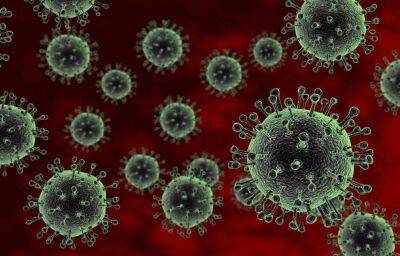 В Тверской области число суточных заражений коронавирусом снизилось до 54