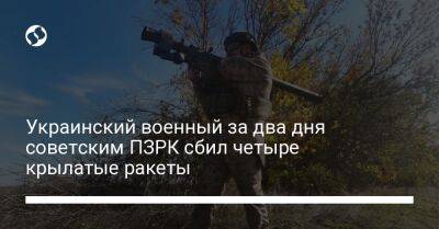 Украинский военный за два дня советским ПЗРК сбил четыре крылатые ракеты