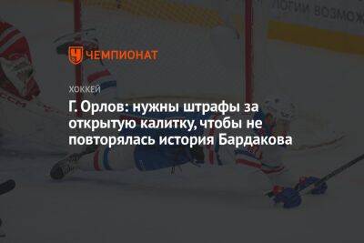 Г. Орлов: нужны штрафы за открытую калитку, чтобы не повторялась история Бардакова