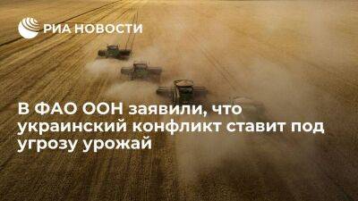 Директор отделения ФАО ООН Кобяков: конфликт на Украине ставит под угрозу урожай 2023 года