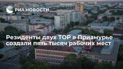 Губернатор Орлов: резиденты двух ТОР в Приамурье создали пять тысяч рабочих мест