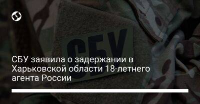 СБУ заявила о задержании в Харьковской области 18-летнего агента России