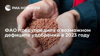 Директор офиса ФАО ООН Кобяков предупредил о возможном дефиците удобрений в 2023 году