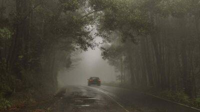 Опаснен ли туман для здоровья: ответ удивит