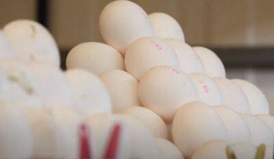 Пик цен на яйца еще впереди: сколько будет стоить десяток в ближайшем будущем