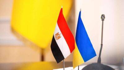 Учитывая эскалацию безопасности Египет также призывает своих граждан покинуть Украину