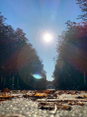 Осень в Харькове: в парке Горького показали любимые виды (фото, видео)