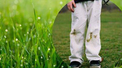 Зелень не страшна: как легко вывести пятна от травы