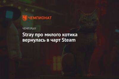 Stray про милого котика вернулась в чарт Steam
