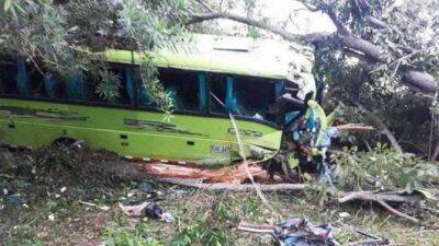 В ДТП с автобусом в Колумбии погибли 20 человек