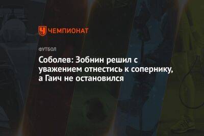 Соболев: Зобнин решил с уважением отнестись к сопернику, а Гаич не остановился