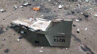 Украинские военные за час уничтожили 9 дронов-камикадзе Shahed-136