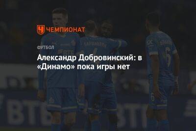 Александр Добровинский: в «Динамо» пока игры нет