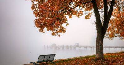 Погода в Украине на 17 октября: Облачно, утром туман (КАРТА)