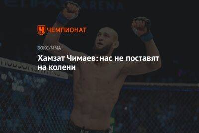 Хамзат Чимаев: нас не поставят на колени