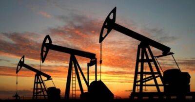 Нефть под санкциями: в России остановился крупный нефтегазовый проект