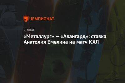 «Металлург» — «Авангард»: ставка Анатолия Емелина на матч КХЛ