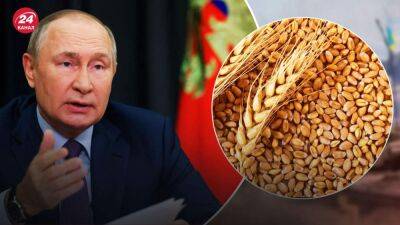 Страны умирают от голода: Братчук опроверг слова Путина по поводу зернового коридора