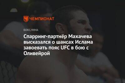 Спарринг-партнёр Махачева высказался о шансах Ислама завоевать пояс UFC в бою с Оливейрой