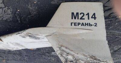 Россияне атакуют города дронами "Герань-2": что это такое и как сбить беспилотник (фото)