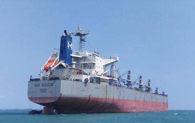 Біля Стамбула судно, яке йшло в Україну за зерном, потрапило в аварію - rbc.ua - США - Турция - Україна - Грузія