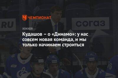 Кудашов – о «Динамо»: у нас совсем новая команда, и мы только начинаем строиться