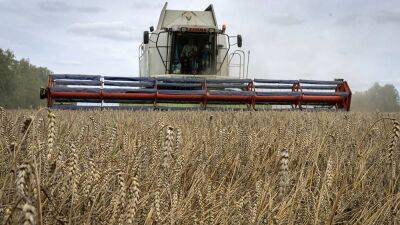 "Зерновая сделка" под угрозой: Россия ставит условия