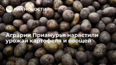 Губернатор Орлов: аграрии Приамурья нарастили урожай картофеля и овощей открытого грунта