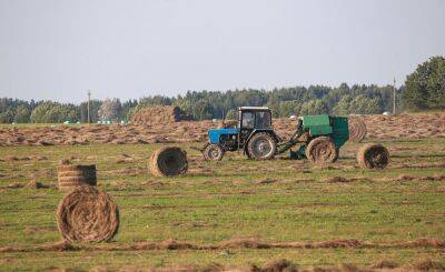 В Беларуси льна заготовили больше прошлогоднего